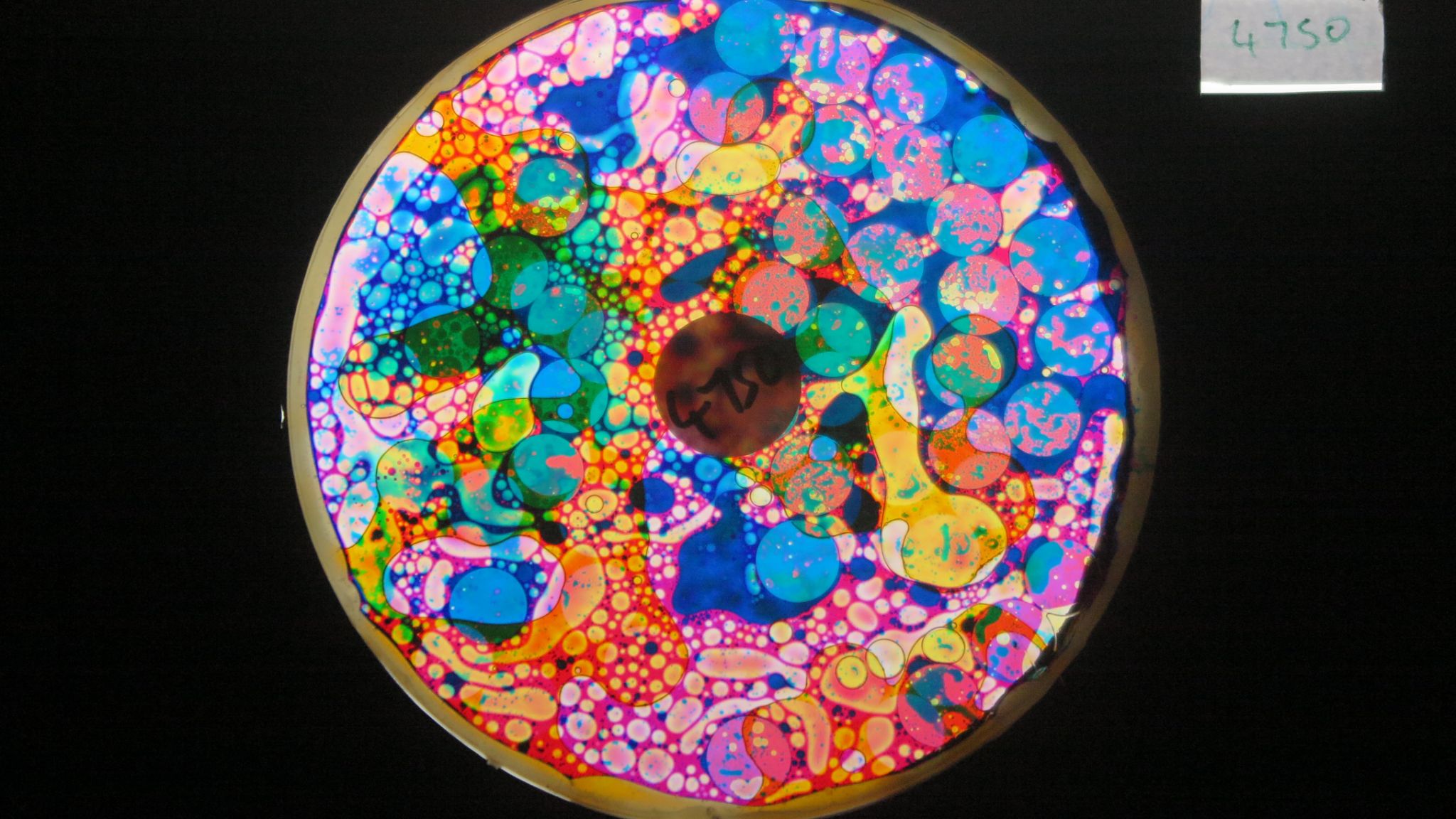 BV4750 bubble vision oil wheel